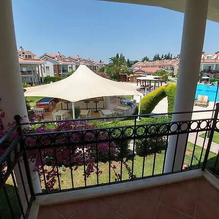 Oasis Villalari *